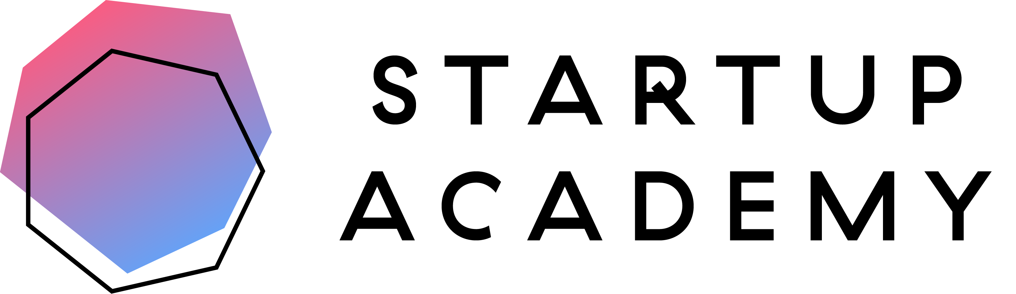 Startup Academy